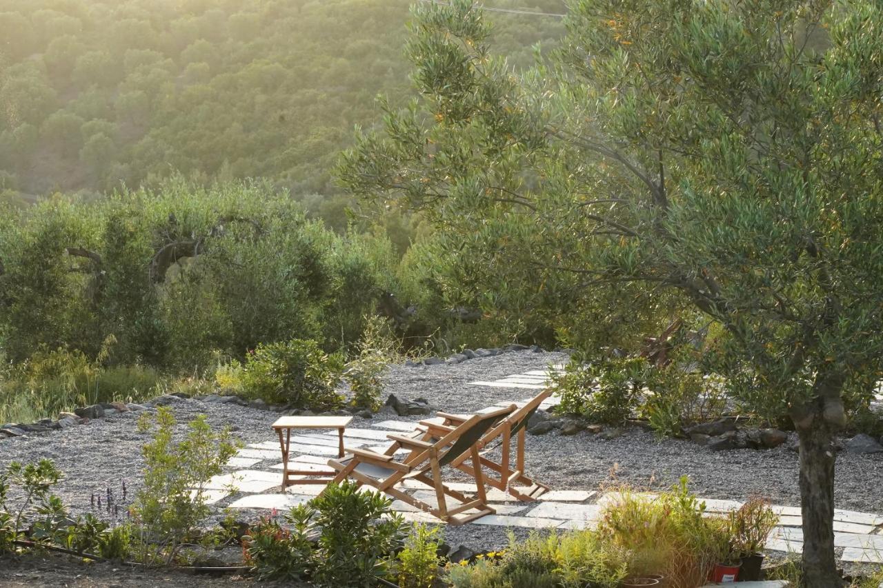 Alterra Vita Eco Villas Neos Marmaras Zewnętrze zdjęcie