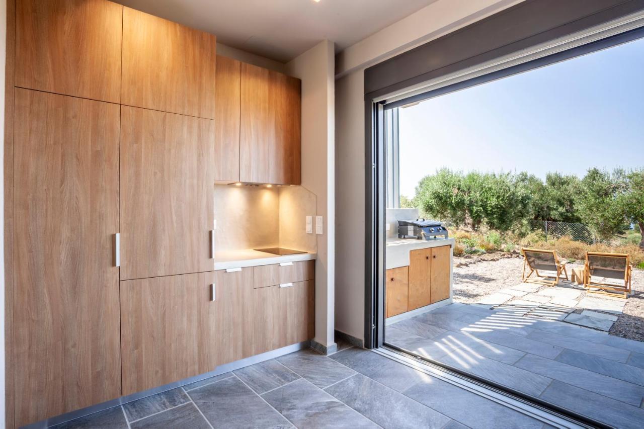 Alterra Vita Eco Villas Neos Marmaras Zewnętrze zdjęcie